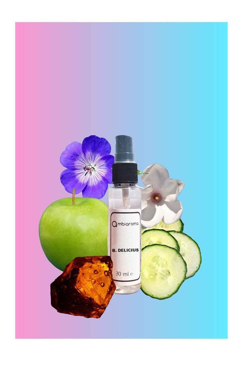Ambientador B. Delicius - 5L