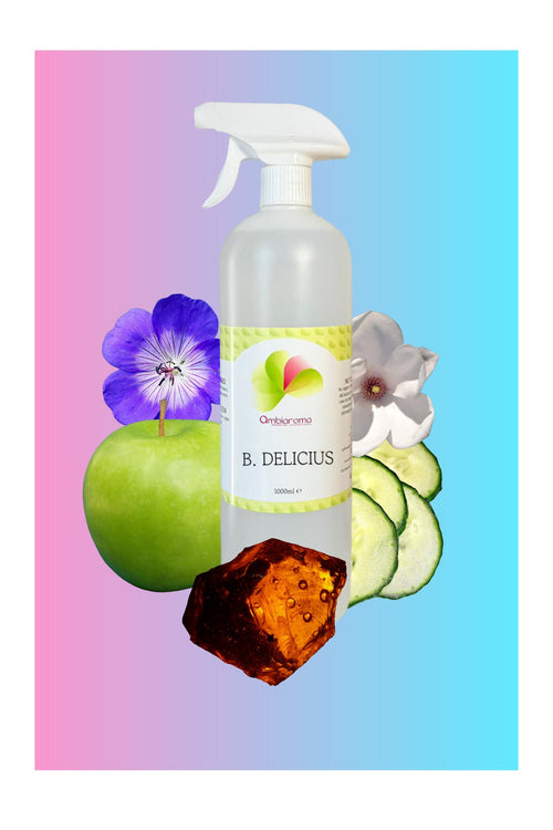 Difusor 1L B Delicius Ambiaroma