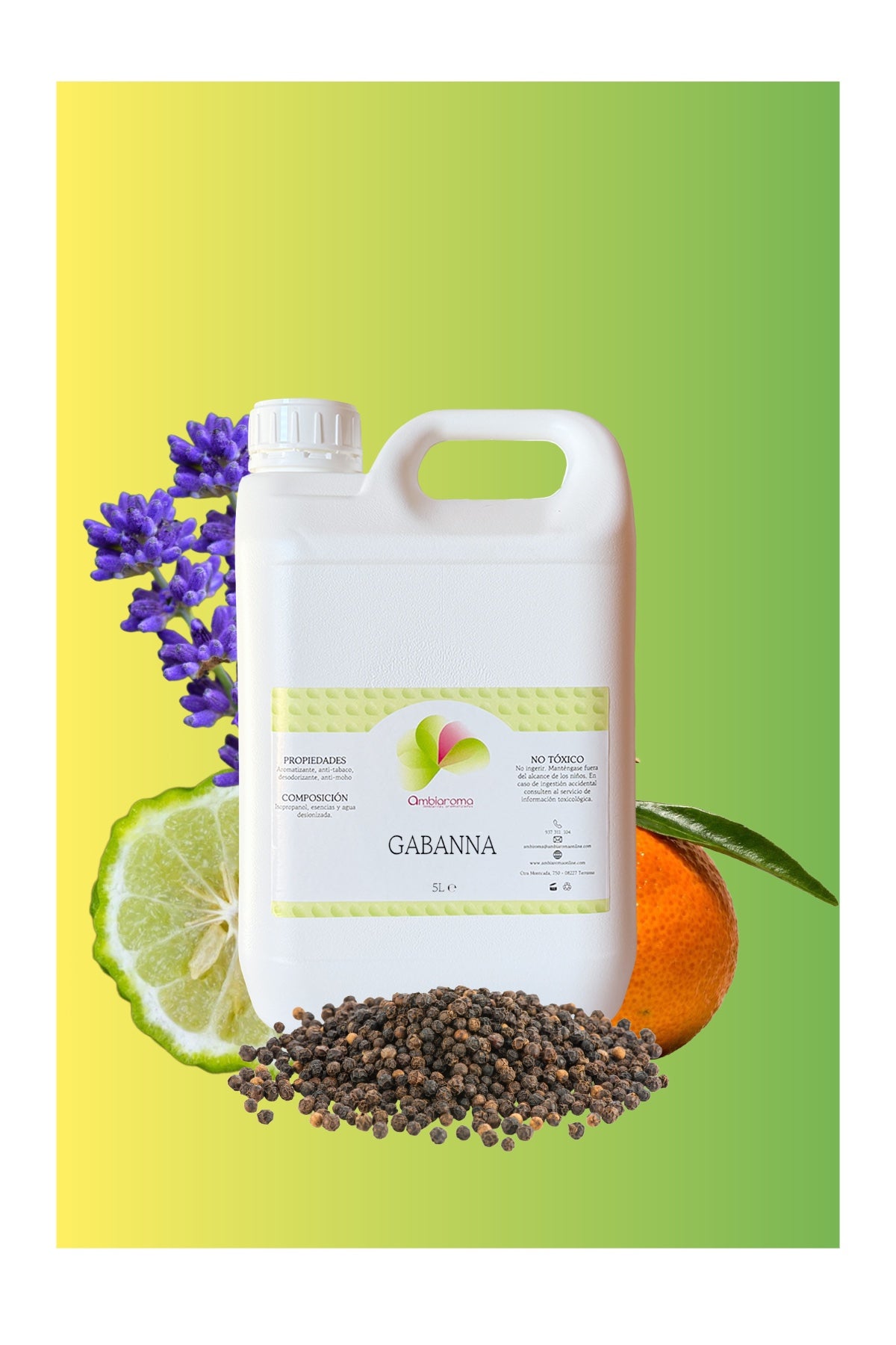 Ambientador Gabanna