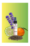 Ambientador Gabanna - 30ml