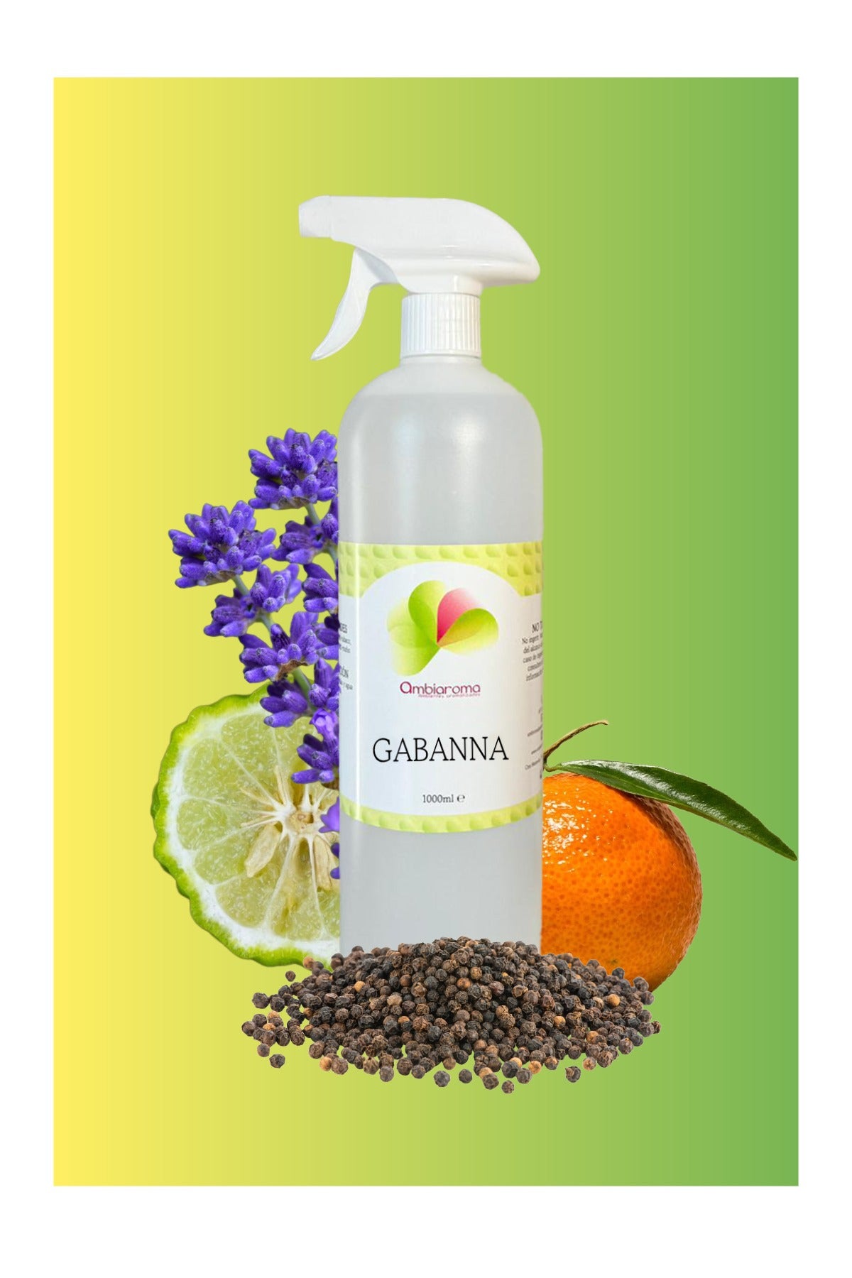 Ambientador Gabanna