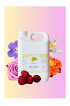 Ambientador Bulghary - 5L