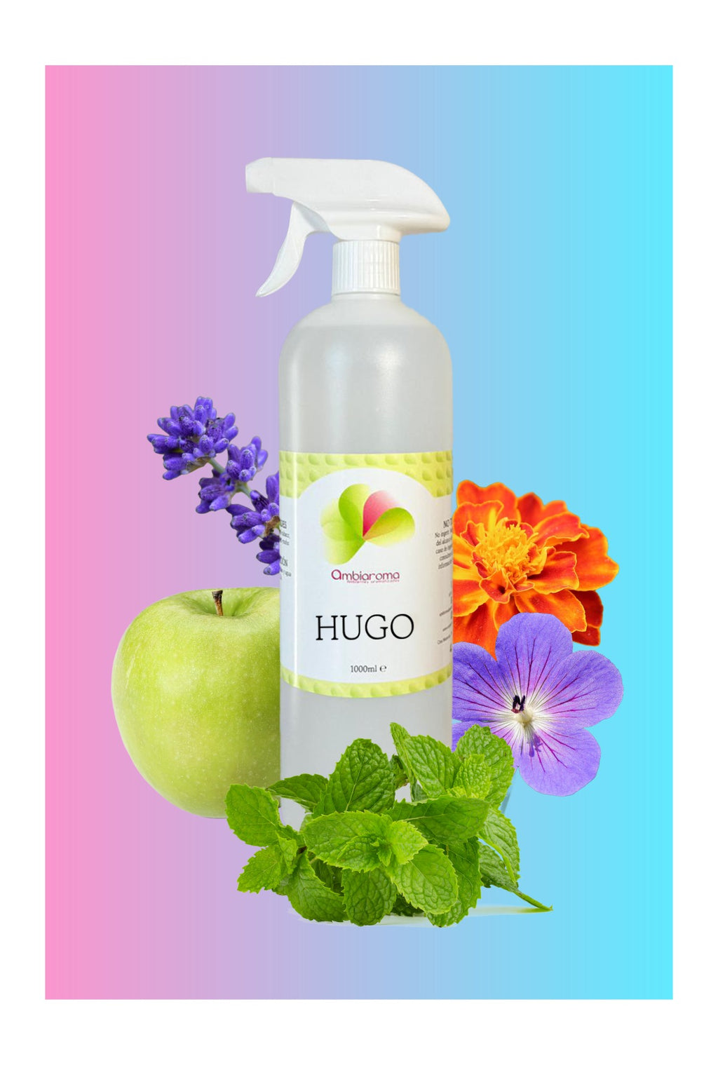 Ambientador Hugo